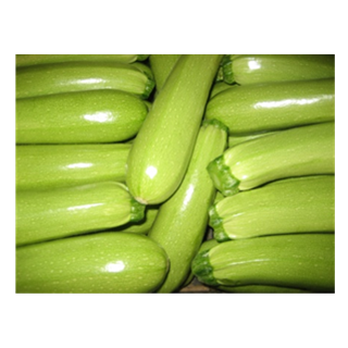 Compra CALABACÍN TOP KAPI F1 (1.000 Semillas) en la tienda online Fito Agrícola