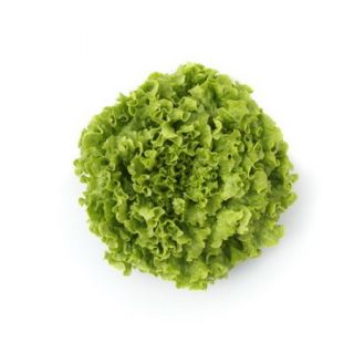 Compra LECHUGA NOLANIE RZ Pildorada (5.000 Semillas) en la tienda online Fito Agrícola