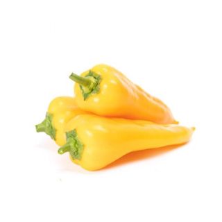 Compra PIMIENTO GOLDISA RZ F1 Precisión (1000 semillas). en la tienda online Fito Agrícola