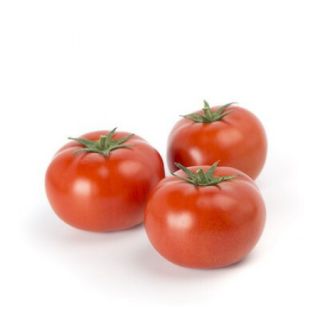 Compra TOMATE UMAGNA RZ F1 (1.000 Semillas). en la tienda online Fito Agrícola