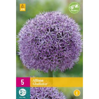 Compra ALLIUM GLADIATOR XXL en la tienda online Fito Agrícola