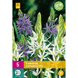Compra CAMASSIA LEICHTLINII MIX XXL en la tienda online Fito Agrícola