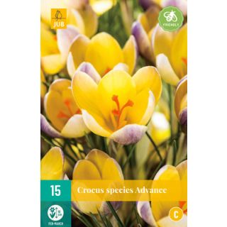 Compra CROCUS ADVANCE en la tienda online Fito Agrícola