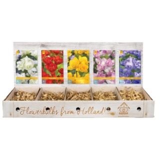 Compra FREESIA DOBLES Cofre (1000 Unidades) en la tienda online Fito Agrícola