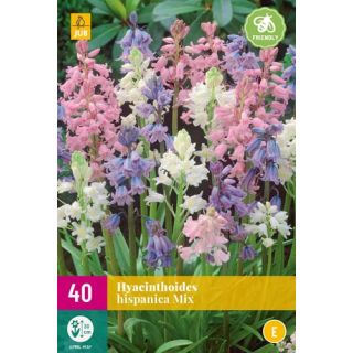 Compra HYACINTHOIDES HISPANICA MIX XXL en la tienda online Fito Agrícola