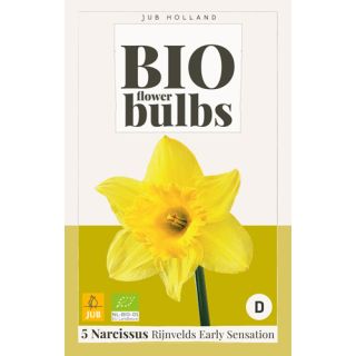 Compra NARCISOS RIJNVELDS EARLY SENSATION BIO en la tienda online Fito Agrícola