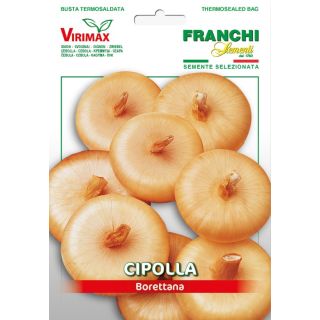 Compra CEBOLLA BORETTANA (100 gr.). en la tienda online Fito Agrícola