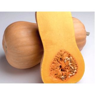 Compra CALABAZA MATILDA F1 ECOLÓGICA (1000 Semillas). en la tienda online Fito Agrícola