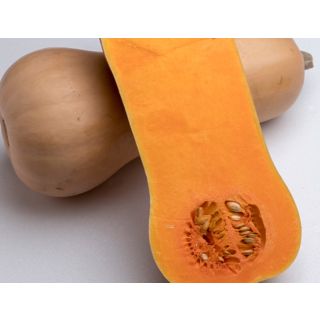 Compra CALABAZA ELIANA F1 (1000 Semillas). en la tienda online Fito Agrícola