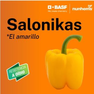 Compra PIMIENTO SALONIKAS F1 (1.000 Semillas) en la tienda online Fito Agrícola