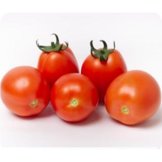 Compra TOMATE BLINDON F1 Precisión (1.000 Semillas) en la tienda online Fito Agrícola