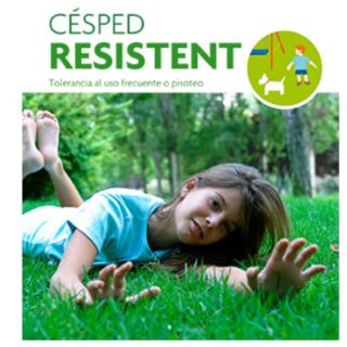 Compra CÉSPED RESISTENT (25 Kgr.) en la tienda online Fito Agrícola