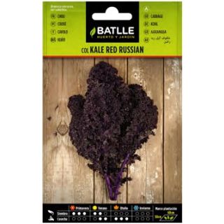 Compra COL KALE RED RUSSIAN (6 gr.). en la tienda online Fito Agrícola