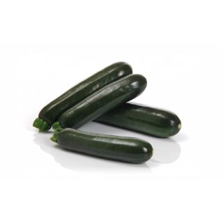 Compra CALABACÍN ASCONA F1 (1.000 Semillas) en la tienda online Fito Agrícola