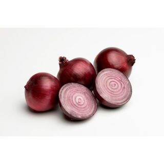 Compra CEBOLLA RED RADIANT (100.000 Semillas). en la tienda online Fito Agrícola