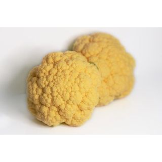 Compra COLIFLOR LISBOA F1 (2.500 Semillas) en la tienda online Fito Agrícola