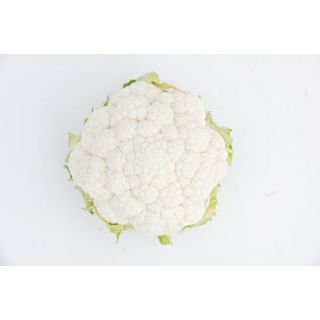 Compra COLIFLOR NAIROBI F1 (2.500 Semillas) en la tienda online Fito Agrícola