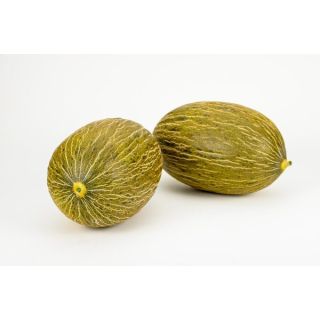 Compra MELÓN DON GREGORIO F1 (1000 Semillas) en la tienda online Fito Agrícola