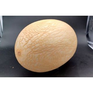 Compra MELÓN PASTOR F1 (1.000 Semillas). en la tienda online Fito Agrícola