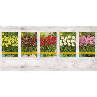 Compra DALIA TOPMIX Cofre (75 Unid.) en la tienda online Fito Agrícola