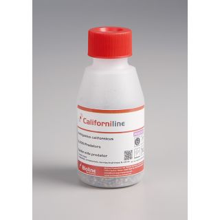 Compra CALIFORNILINE (2.000 Ind.). en la tienda online Fito Agrícola