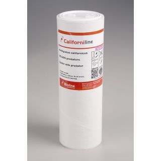 Compra CALIFORNILINE (25.000 Ind.). en la tienda online Fito Agrícola