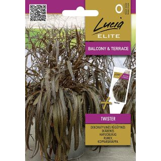 Compra ACEDERA TWISTER (1 gr. - Cerca de 800 Semillas) en la tienda online Fito Agrícola