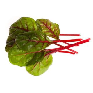 Compra ACELGA SUIZA ROJA BABY LEAF ECOLÓGICA (50 gr.). en la tienda online Fito Agrícola