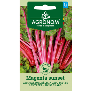 Compra ACELGA SUIZA MAGENTA SUNSET (2 gr. - Cerca de 80 Semillas) en la tienda online Fito Agrícola