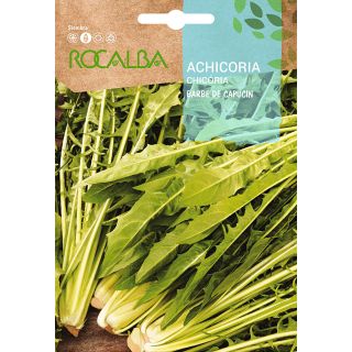 Compra ACHICORIA BARBE DE CAPUCIN (100 gr.). en la tienda online Fito Agrícola