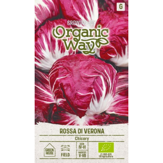 Compra ACHICORIA GEANTE MARAICHERE ROSSA DI VERONA ECOLÓGICA (1 gr. - Cerc de 600 Semillas). en la tienda online Fito Agrícola