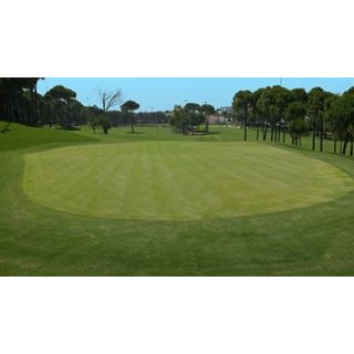 Compra AGROSTIS STOLONIFERA VALDERRAMA (11,30 Kgr.). en la tienda online Fito Agrícola