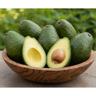 Compra AGUACATE ETTINGER en la tienda online Fito Agrícola