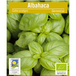 Compra ALBAHACA GENOVESA ECOLÓGICA (100 gr.) en la tienda online Fito Agrícola