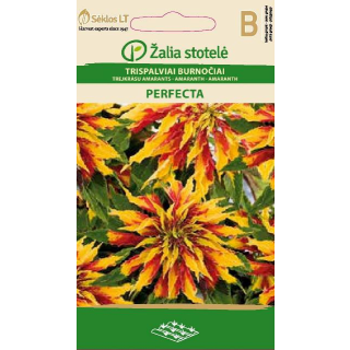 Compra AMARANTO PERFECTA (0,2 gr. - Cerca de 300 Semillas) en la tienda online Fito Agrícola