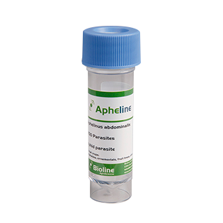 Compra APHELINE (250 Adultos) en la tienda online Fito Agrícola