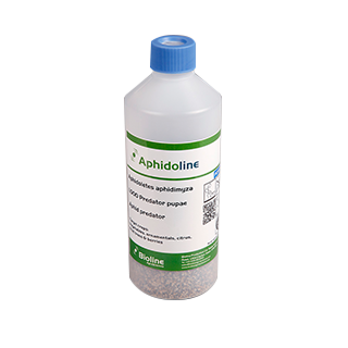 Compra APHIDOLINE (1.000 Ind.) en la tienda online Fito Agrícola