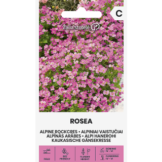 Compra ARABIS ALPINA ROSEA (0,2 gr.- Cerca de 900 Semillas). en la tienda online Fito Agrícola