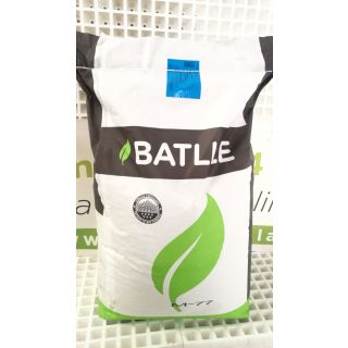 Compra AVENA SÁTIVA KBIRA R1 (20 Kgr.). en la tienda online Fito Agrícola