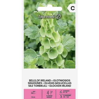 Compra BELLS OF IRELAND (0,5 gr. - Cerca de 75 Semillas). en la tienda online Fito Agrícola