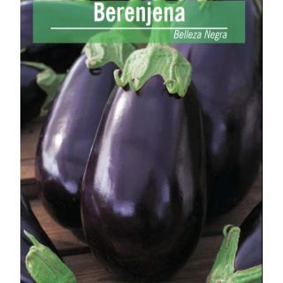 Compra BERENJENA BLACK BEAUTY ECO (10 gr.). en la tienda online Fito Agrícola