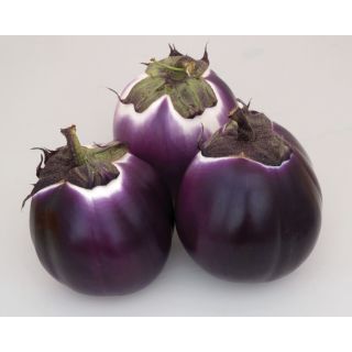 Compra BERENJENA BRILLANT F1 Pildorada (5.000 Semillas) en la tienda online Fito Agrícola
