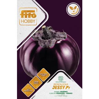 Compra BERENJENA JESSY F1 (20 Semillas). en la tienda online Fito Agrícola