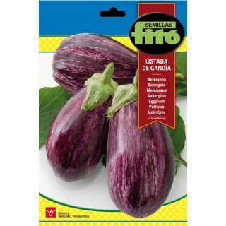 Compra BERENJENA LISTADA DE GANDIA Sel. Fitó (1.000 Semillas) en la tienda online Fito Agrícola