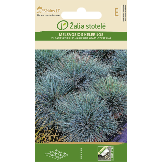 Compra BLUE HAIR GRASS (0,3 gr. - Cerca de 780 Semillas). en la tienda online Fito Agrícola
