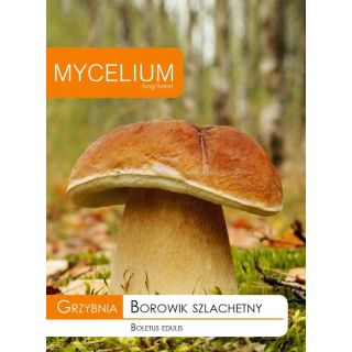 Compra MICELIO BOLETO Boletus edulis (10 gr.). en la tienda online Fito Agrícola