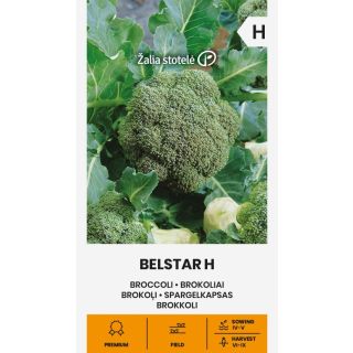 Compra BRÓCOLI BELSTAR F1 Pildorado (0,2 gr. - Cerca de 40 Semillas) en la tienda online Fito Agrícola