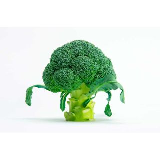 Compra BRÓCOLI ULYSSES F-1 (2.500 Semillas) en la tienda online Fito Agrícola