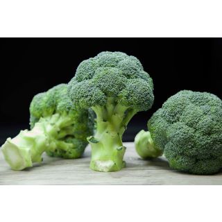 Compra BRÓCOLI MYKONOS F1 (2.500 Semillas) en la tienda online Fito Agrícola