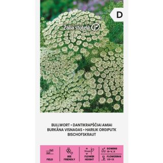 Compra BULLWORT (0,5 gr. - Cerca de 650 Semillas). en la tienda online Fito Agrícola